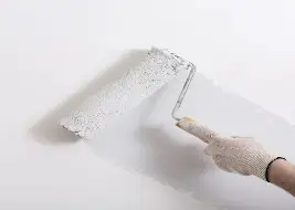Primers